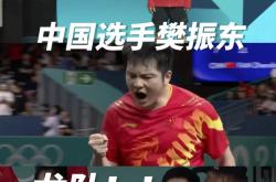 开云下载-中国队完胜瑞典队，樊振东关键制胜