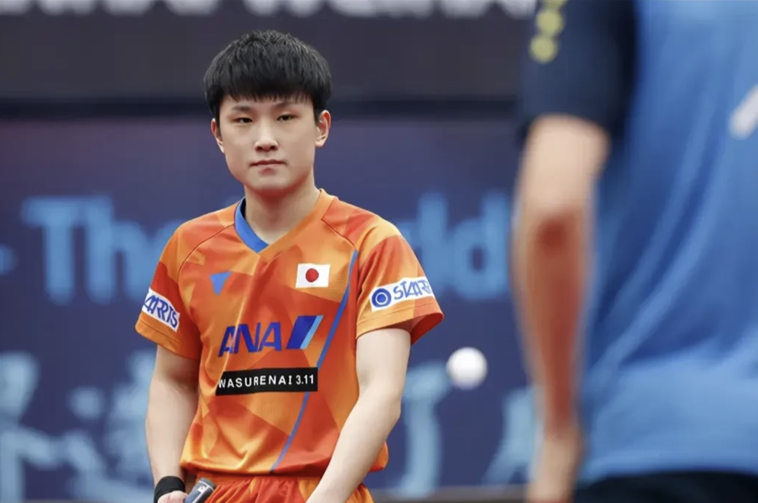 关于中国乒乓球队血洗韩国乒乓球队,张本智和打破历史纪录的信息 关于中国乒乓球队血洗韩国乒乓球队,张本智和打破历史纪录的信息