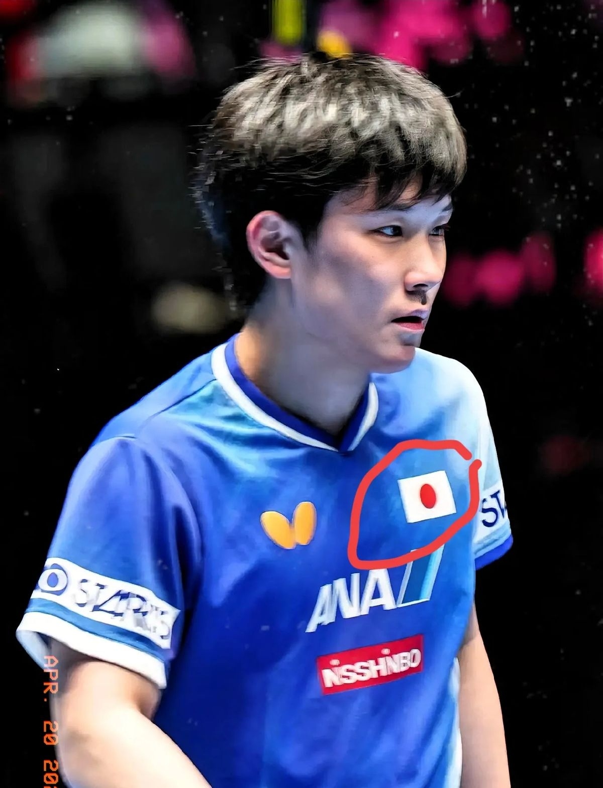 日本乒乓球队碾压中国乒乓球队,张本智和制霸全场 日本乒乓球队碾压中国乒乓球队,张本智和制霸全场